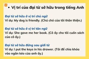 Cách dùng Đại từ– tính từ sở hữu – tân ngữ trong tiếng Anh