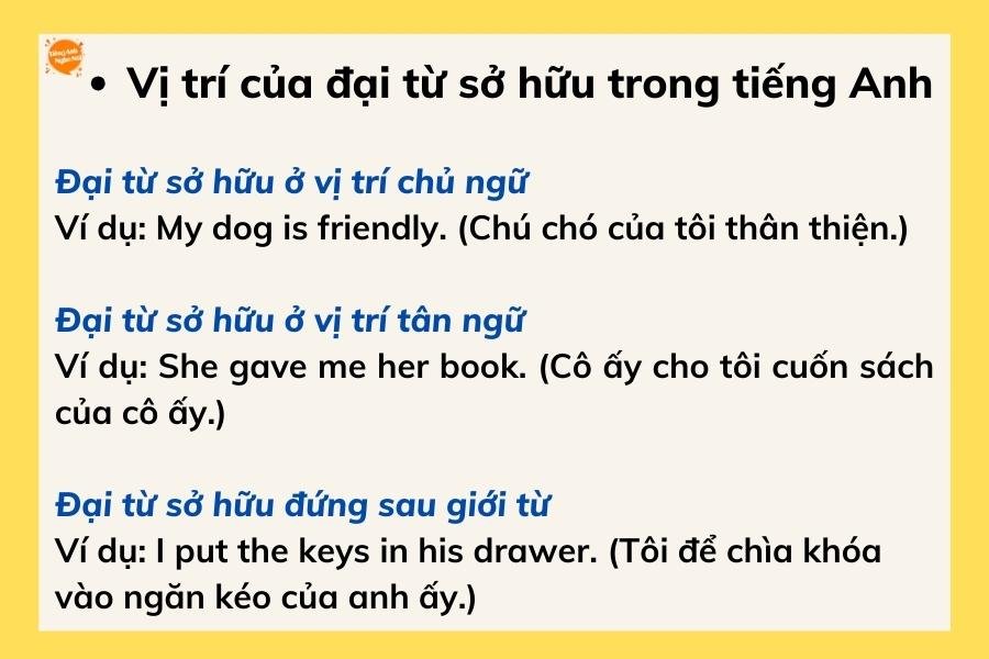 Cách dùng Đại từ– tính từ sở hữu – tân ngữ trong tiếng Anh