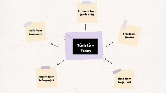 Alt: minh họa tính từ kết hợp với giới từ from