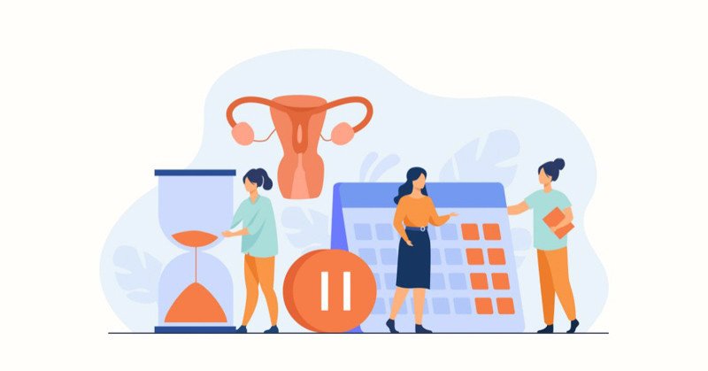 Bác sĩ đang giao tiếp với bệnh nhân về sức khỏe thai kỳ, minh họa ứng dụng từ vựng tiếng Anh chuyên ngành sản phụ khoa trong thực tế.