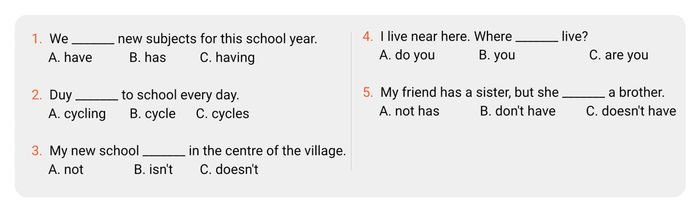 Bài tập chọn đáp án đúng về thì hiện tại đơn