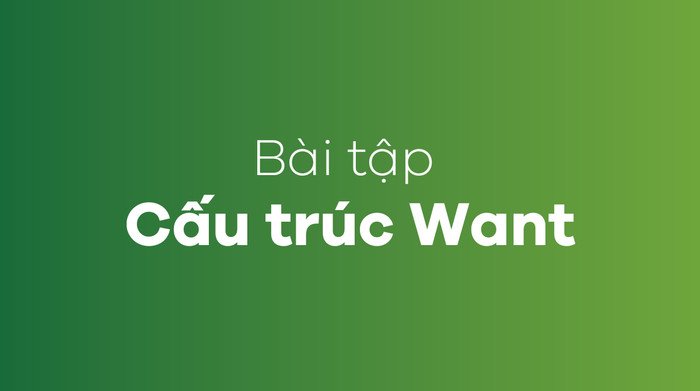 Bài tập thực hành củng cố kiến thức về cấu trúc Want trong tiếng Anh