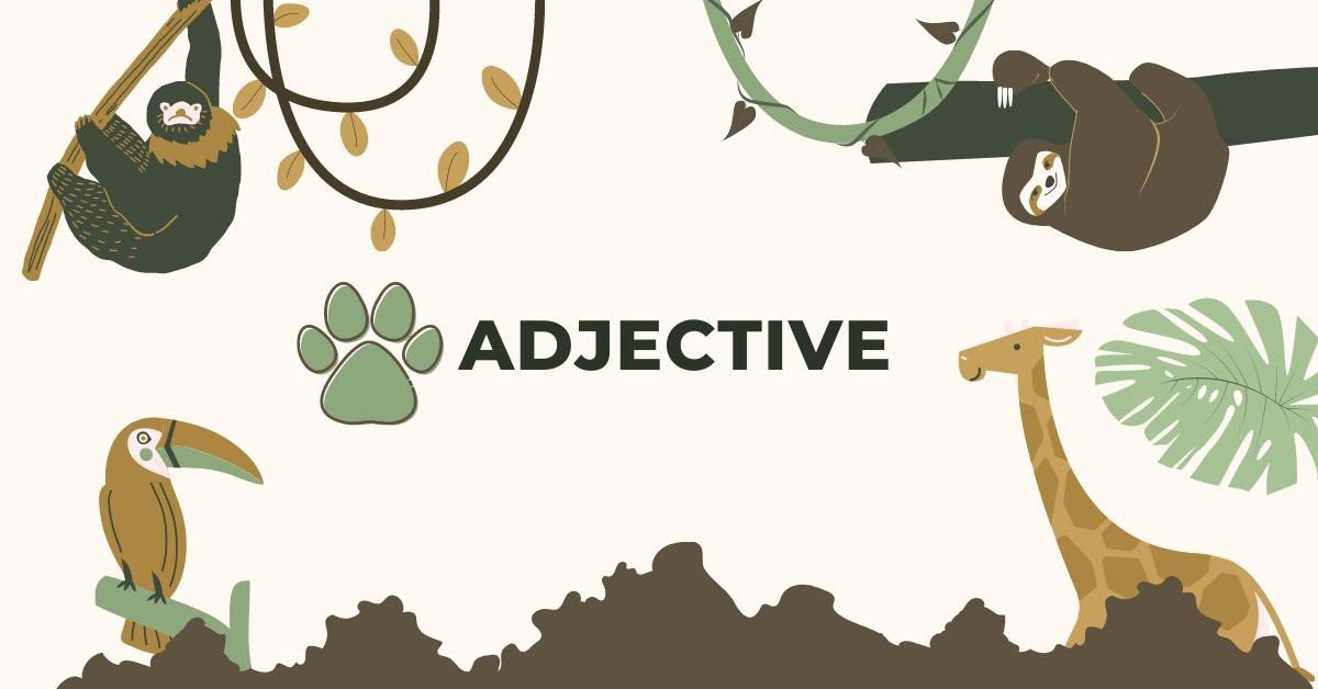 Bảng tổng hợp tính từ miêu tả động vật trong ngữ pháp tiếng Anh