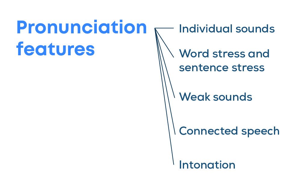 biểu đồ các thành tố phát âm tiếng Anh quan trọng