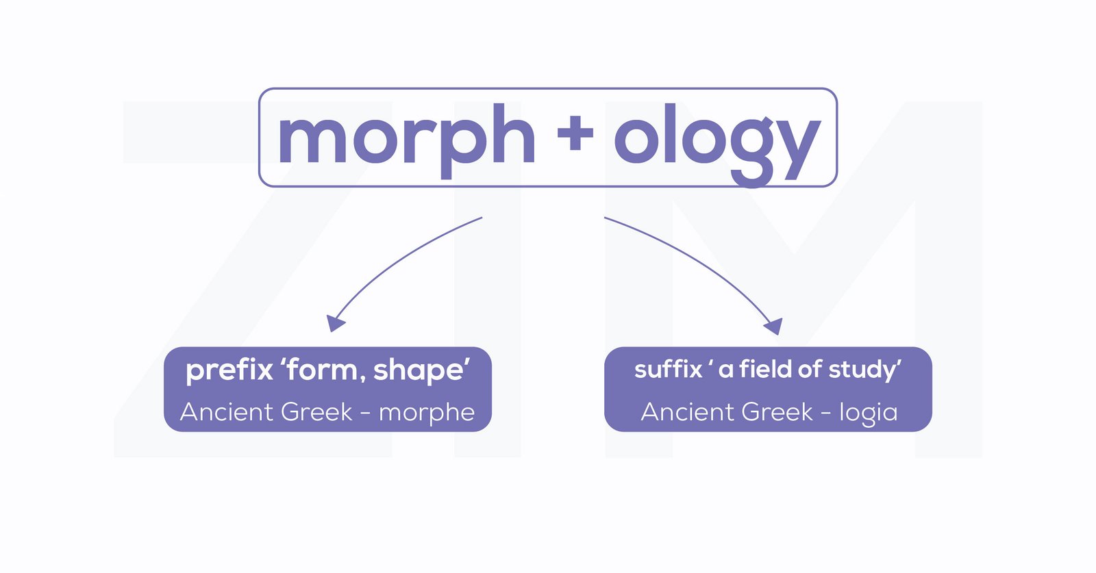 Biểu đồ cấu trúc từ vựng tiếng Anh gồm tiền tố, gốc từ và hậu tố