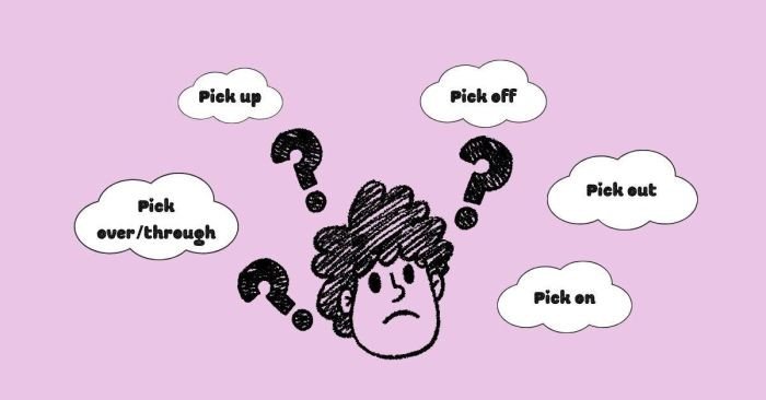 Biểu đồ minh họa các Phrasal Verb Pick phổ biến