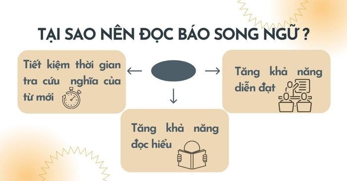Biểu đồ minh họa lợi ích của việc đọc báo song ngữ trong quá trình học tiếng Anh.