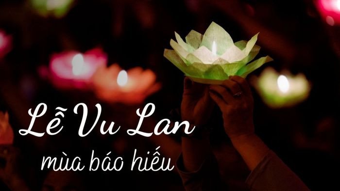 Biểu đồ so sánh các thuật ngữ tiếng Anh phổ biến dùng để chỉ Lễ Vu Lan, giúp người học tiếng Anh dễ dàng nắm bắt.
