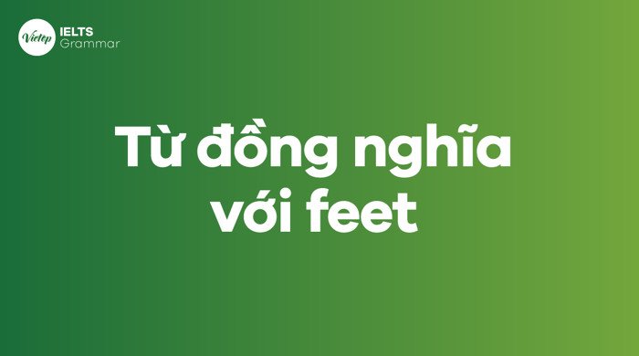 Biểu đồ thể hiện các từ đồng nghĩa của từ feet trong tiếng Anh.