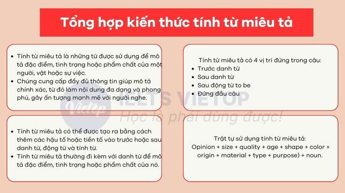 Các bài tập thực hành về tính từ mô tả giúp củng cố kiến thức ngữ pháp