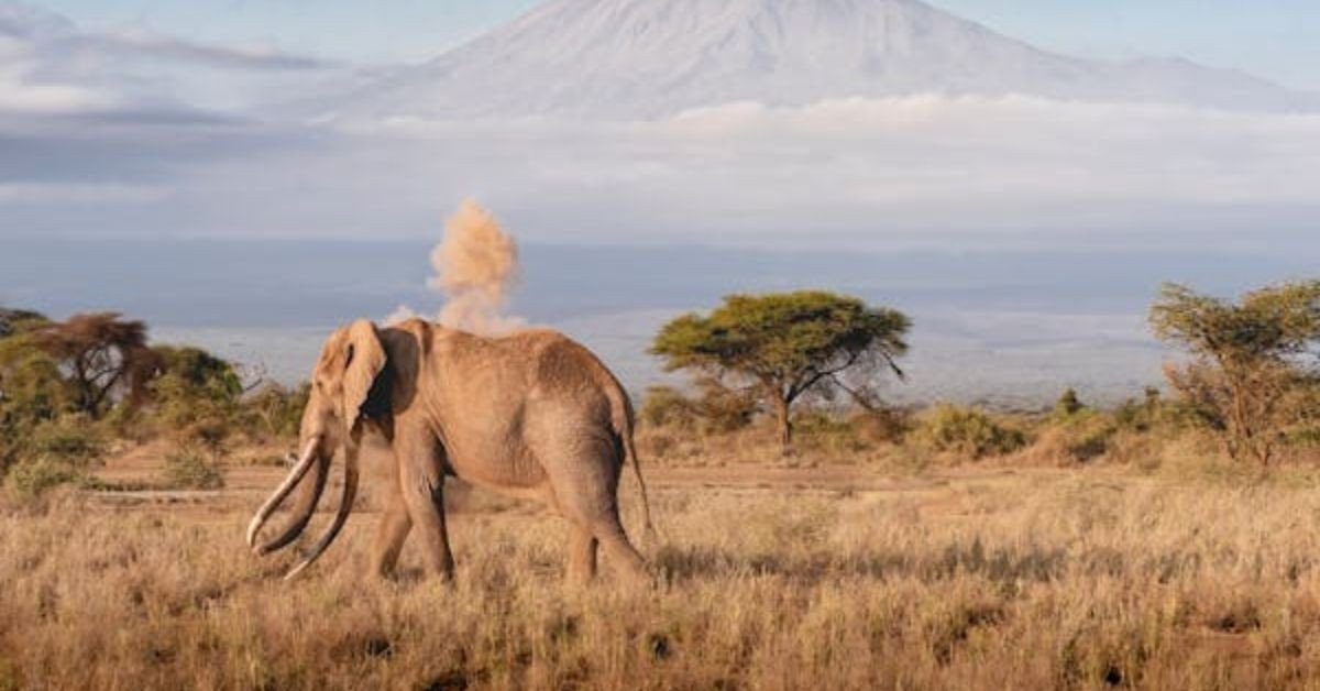 Các dạng địa hình và vùng nước trên Trái đất nhìn từ không gian