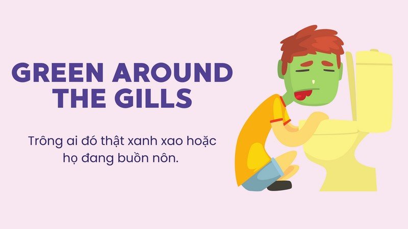 Các idioms là gì về chủ đề sức khỏe trong tiếng Anh