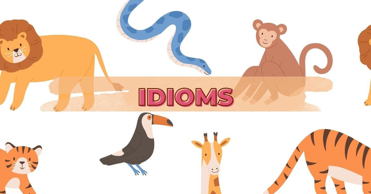 Các thành ngữ phổ biến về con vật trong tiếng Anh