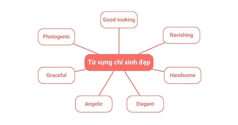 Các tính từ miêu tả vẻ đẹp trong tiếng Anh