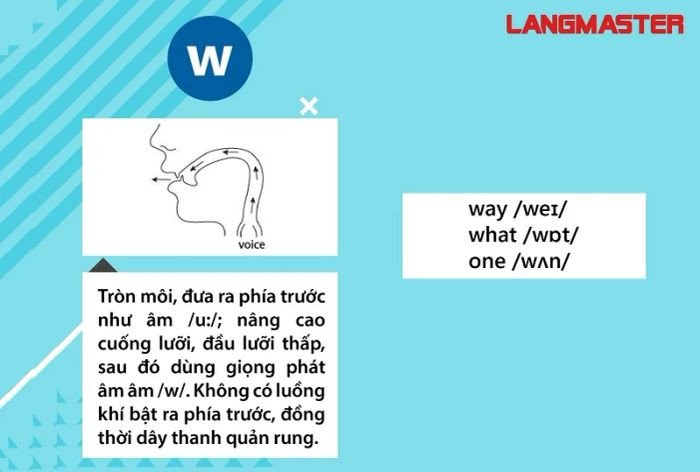 Cách đặt khẩu hình môi và miệng để phát âm chữ W chính xác