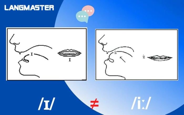 Cách đặt lưỡi và môi khi phát âm nguyên âm I dài trong tiếng Anh