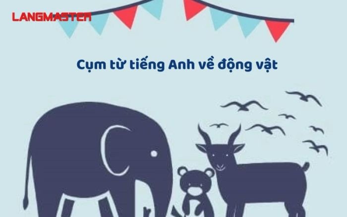 Cụm từ tiếng Anh về động vật thường gặp trong giao tiếp