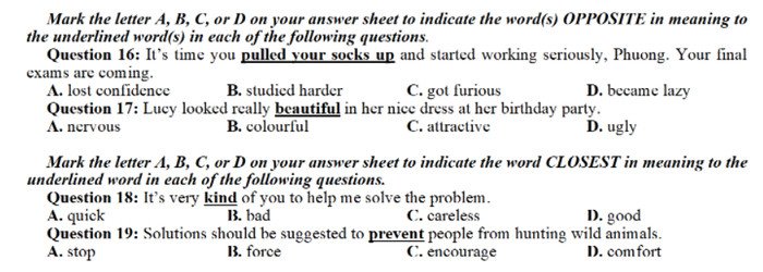 Dạng bài tập từ vựng thường gặp trong đề thi tiếng Anh THPT Quốc gia