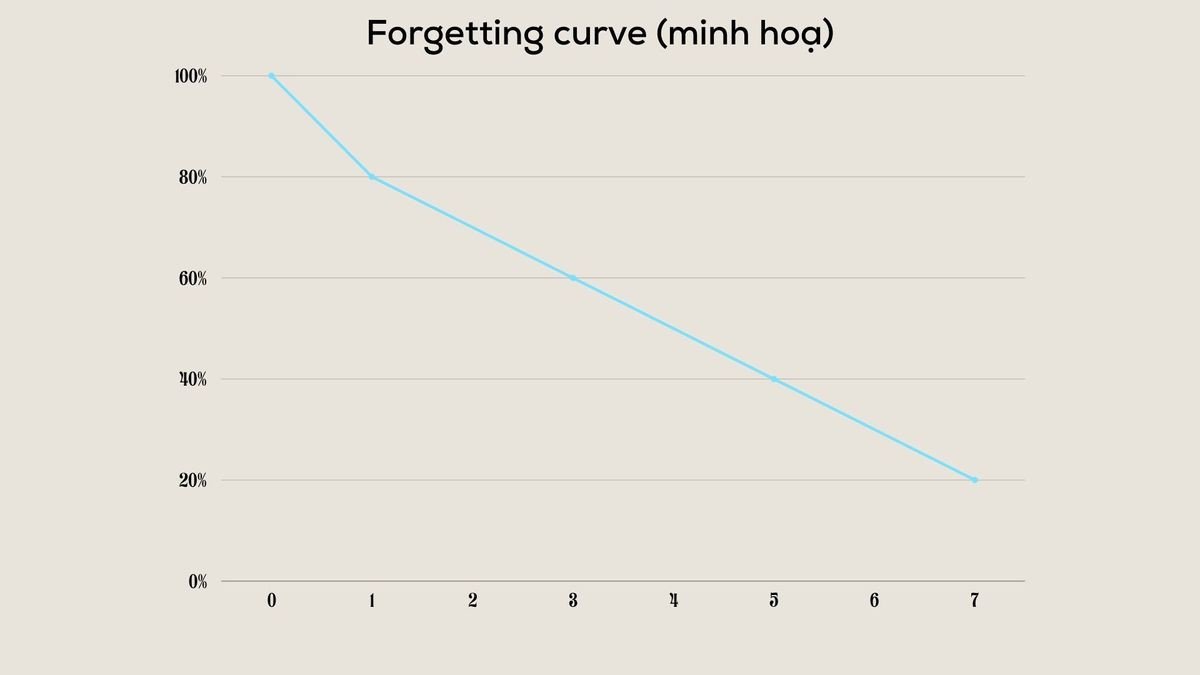 Nắm Vững 1000 Từ Vựng Tiếng Anh Theo Chủ Đề Thông Dụng