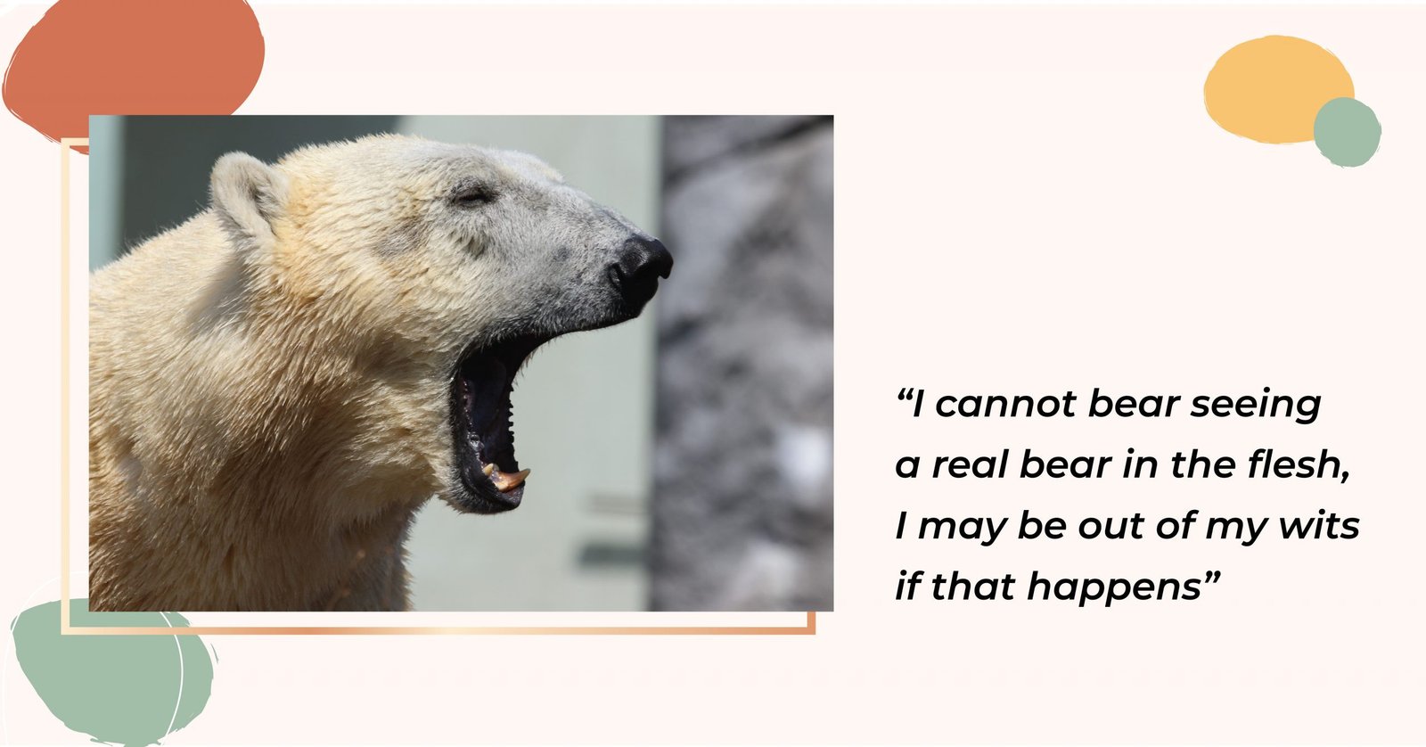 Hình ảnh con gấu và hành động chịu đựng minh họa từ Bear đồng âm