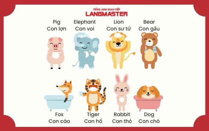 Hình ảnh minh họa các con vật nuôi quen thuộc