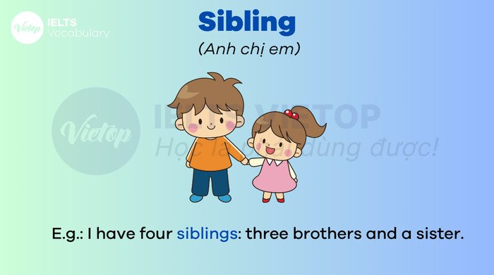 Hình ảnh minh họa các thành viên trong gia đình, biểu tượng cho từ vựng tiếng Anh B2 về gia đình và mối quan hệ.