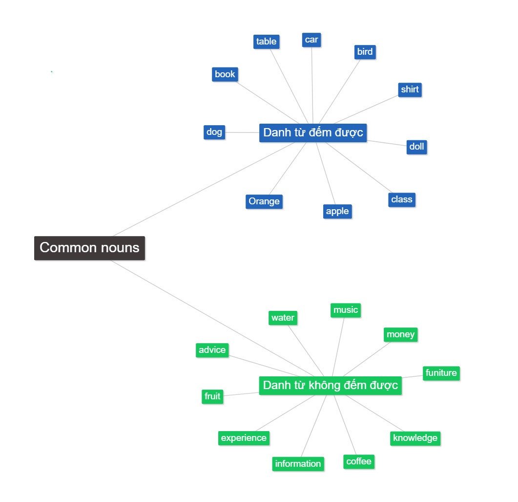 Hình ảnh minh họa danh từ chung đếm được và không đếm được trong ngữ pháp tiếng Anh.