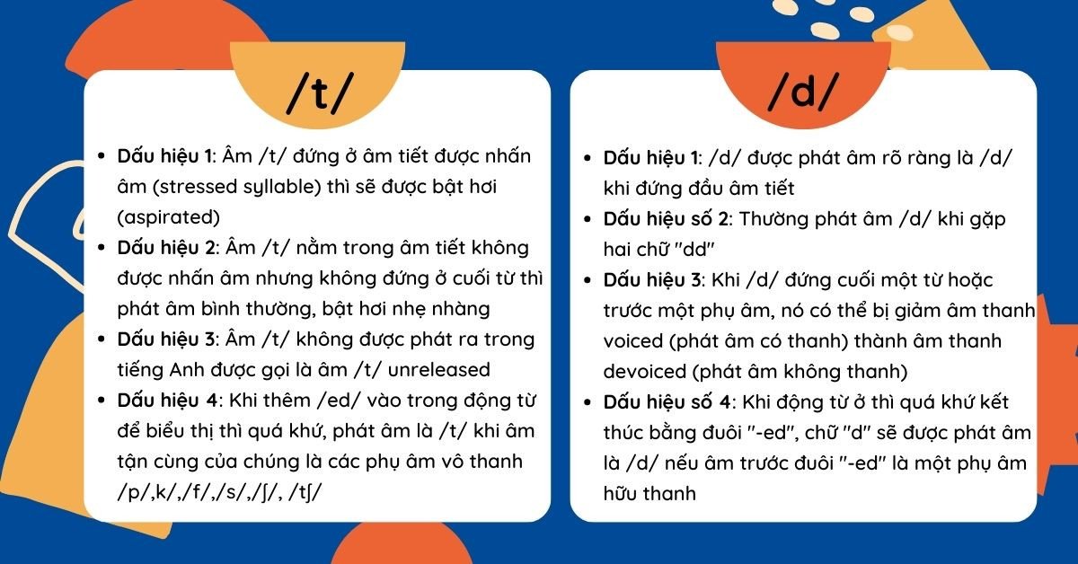 Hình ảnh minh họa vị trí lưỡi và khẩu hình miệng khi phát âm các phụ âm trong tiếng Anh, giúp người học dễ dàng hình dung cách đặt âm /t/ và /d/ chính xác.