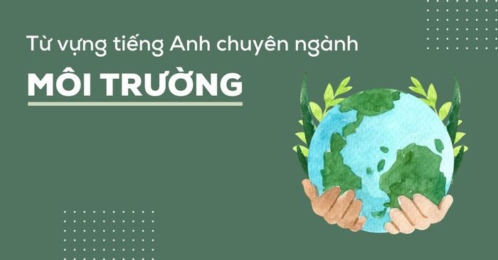Hình ảnh một bàn tay đang nâng niu cây con, tượng trưng cho việc bảo vệ thiên nhiên và phát triển bền vững, gắn liền với từ vựng tiếng Anh chuyên ngành Môi trường.