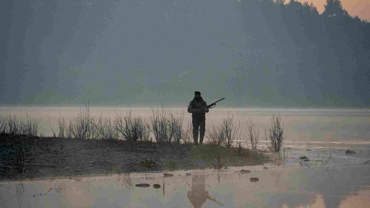 Hình ảnh một con hổ hoặc loài mèo lớn trong môi trường tự nhiên, tượng trưng cho động vật hoang dã cần được bảo tồn.