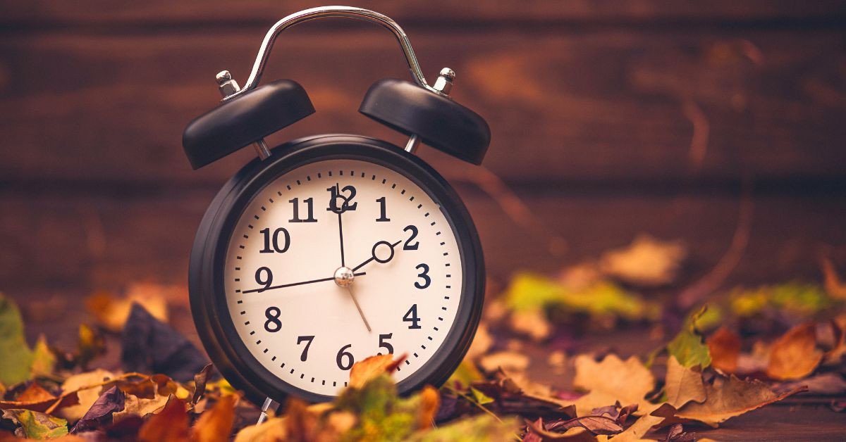 Hoạt động thăm bảo tàng "From time to time" giúp thư giãn