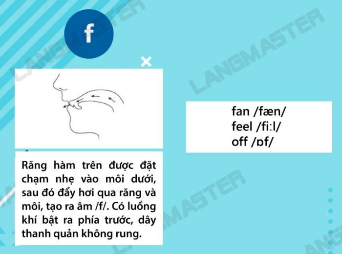Khẩu hình miệng chuẩn khi phát âm âm F trong tiếng Anh