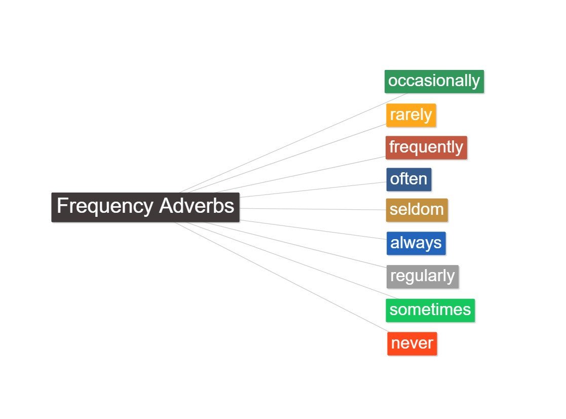 Kim đồng hồ và thước đo tần suất thể hiện trạng từ tần suất trong câu.