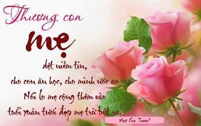 Lời chúc tiếng Anh ý nghĩa dành tặng mẹ vào ngày đặc biệt