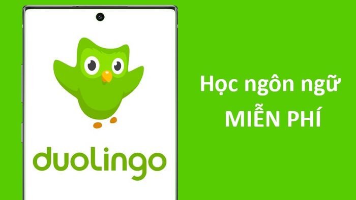 Màn hình lựa chọn ngôn ngữ học trên Duolingo, bao gồm tiếng Anh và nhiều ngôn ngữ khác
