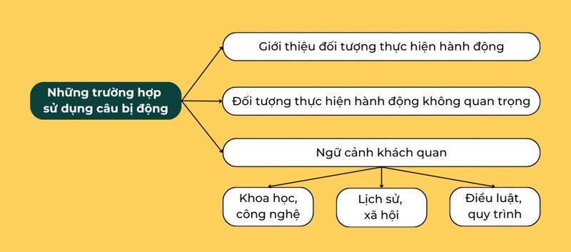 Minh họa các trường hợp sử dụng câu bị động trong tiếng Anh một cách hiệu quả