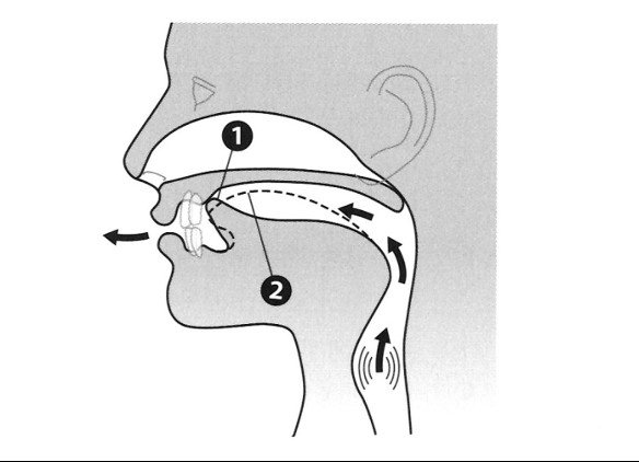 Minh họa chi tiết khẩu hình miệng và chuyển động lưỡi để phát âm chuẩn cặp âm /dʒ/ và /tʃ/.