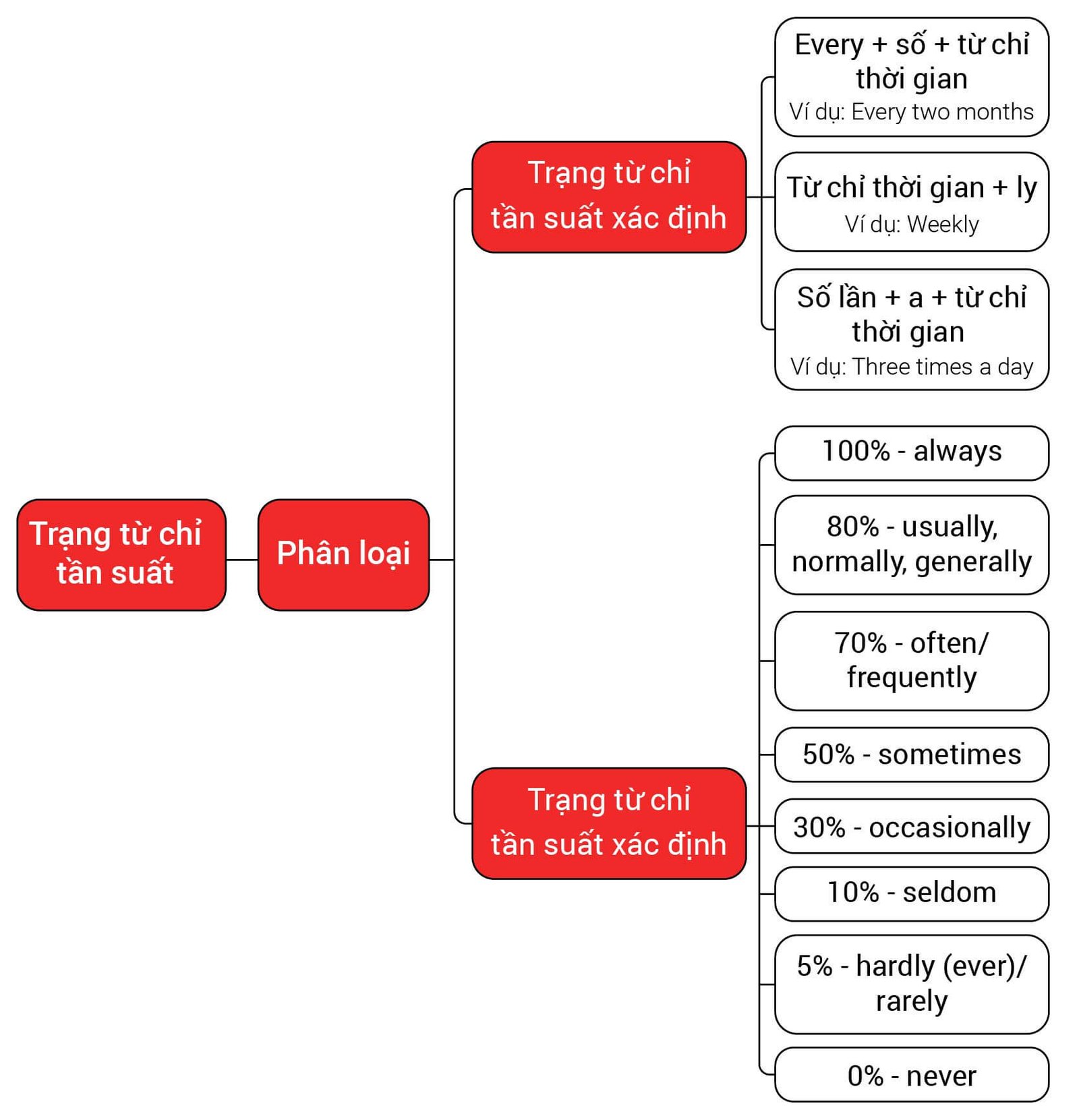 Minh họa khái niệm trạng từ chỉ tần suất trong ngữ pháp tiếng Anh