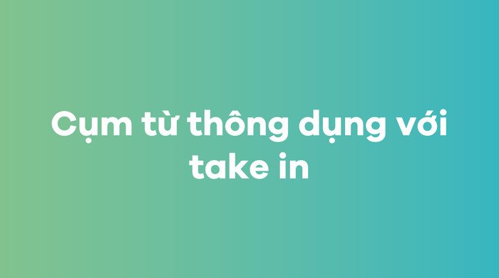 Minh họa những cụm từ thông dụng và cách sử dụng take in hiệu quả.