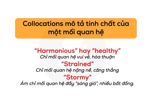 Mô tả sự tương đồng ngoại hình giữa các thành viên trong gia đình