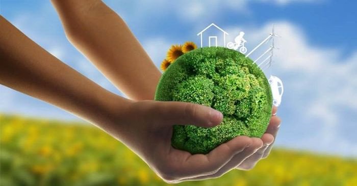 Một cô gái đang tưới cây trong một khu vườn xanh tươi, thể hiện hành động chăm sóc và bảo vệ môi trường sống.