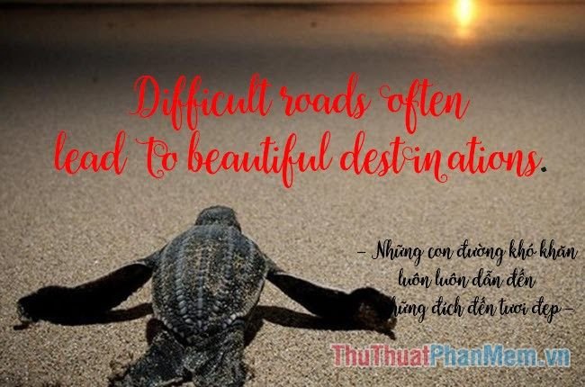 Một con đường rừng rậm rạp nhưng tuyệt đẹp, dẫn lối qua những tán cây xanh tươi, thể hiện hành trình gian nan nhưng hứa hẹn những điểm đến đáng giá.