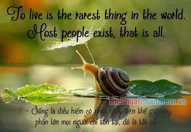 Một cuốn sách mở ra với những trang giấy trống, tượng trưng cho câu chuyện cuộc đời chưa được viết, khơi gợi ý tưởng về sự sáng tạo và làm chủ số phận.