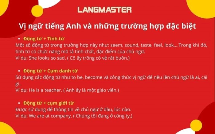 Một cuốn sách ngữ pháp tiếng Anh mở ra, minh họa cho việc tìm hiểu các trường hợp đặc biệt của vị ngữ
