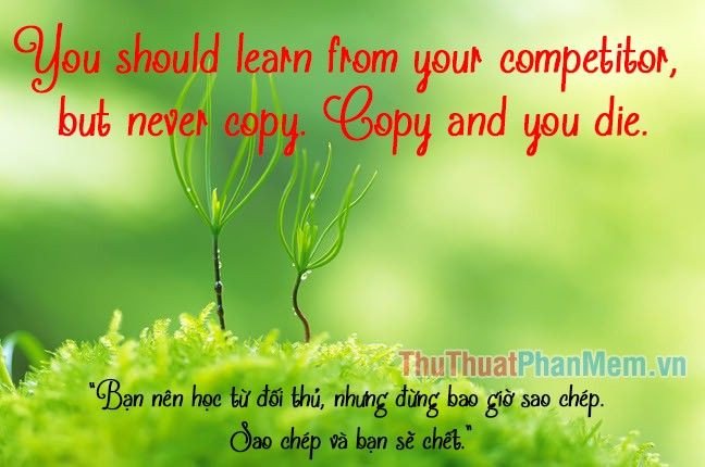 Một đôi tay đang nắm chặt lấy nhau, thể hiện sự kết nối, tình yêu thương và sự hỗ trợ trong các mối quan hệ.