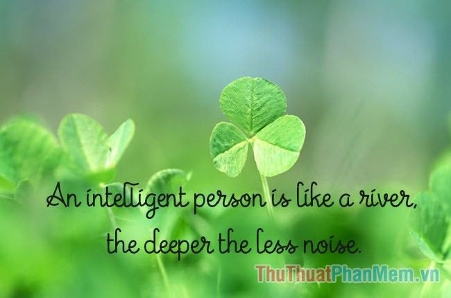 Một người đàn ông đang đọc sách với vẻ mặt trầm tư, gợi liên tưởng đến sự thông thái và hành trình tìm kiếm tri thức trong cuộc sống.