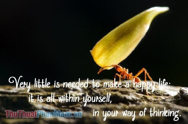 Một người đang ngồi thiền dưới gốc cây, biểu tượng cho sự bình yên nội tâm và cách suy nghĩ tích cực để tìm thấy hạnh phúc.