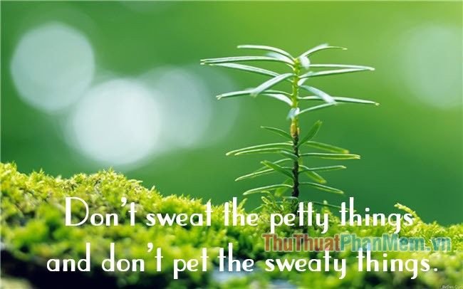 Một nụ cười rạng rỡ và ánh mắt lạc quan trên khuôn mặt, truyền tải thông điệp về niềm vui và sự chấp nhận trong cuộc sống.