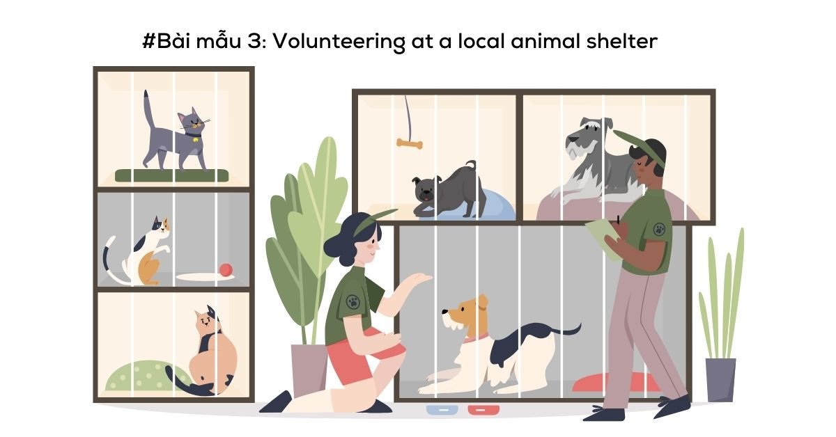 Một tình nguyện viên đang vuốt ve chú chó tại trại cứu hộ động vật, minh họa lợi ích của hoạt động tình nguyện trong việc chăm sóc động vật.