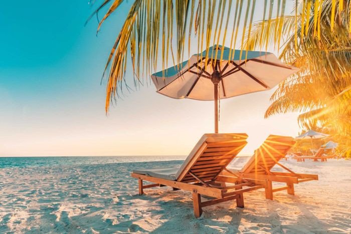 Mùa Hè: Nắng Nóng và Hoạt Động